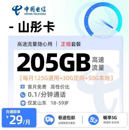 电信山彤卡【山东专属】  29元/月享125G全国通用流量+50G山东省内通用+30G定向